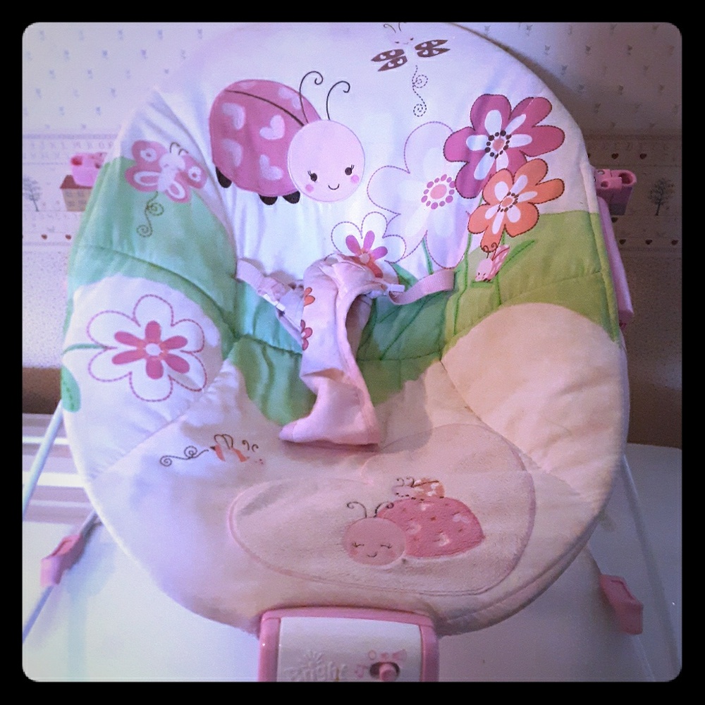 Fisher price bouncer